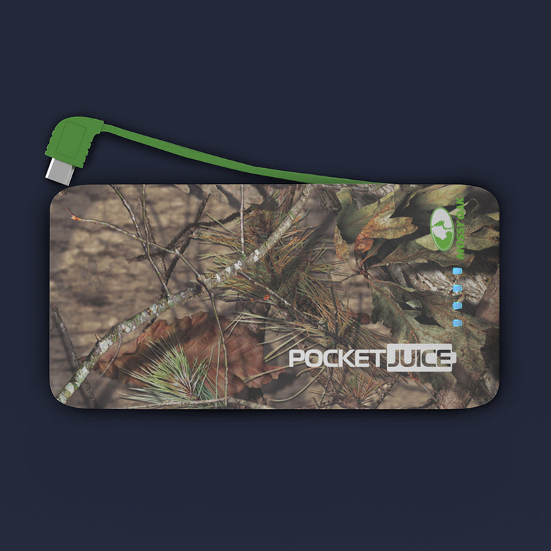 PocketJuice Endurance AC 4,000 mAh Portable Charger